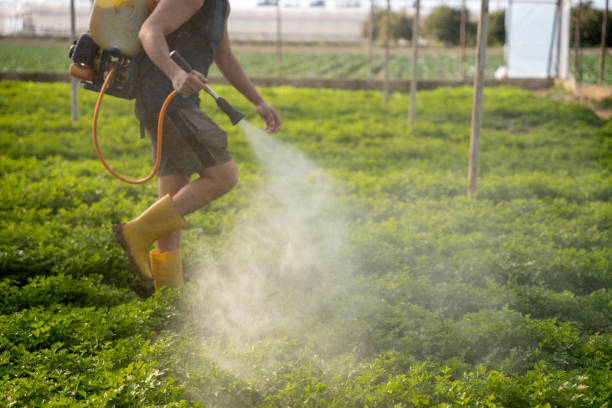 Best Pest Prevention Services  in Windsor, IL