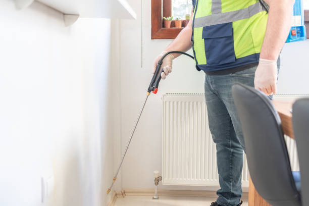 Best Ant Control Services  in Windsor, IL
