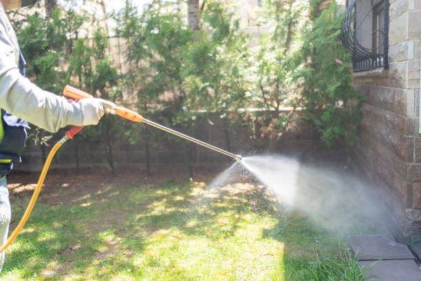 Best Termite Control Services  in Windsor, IL