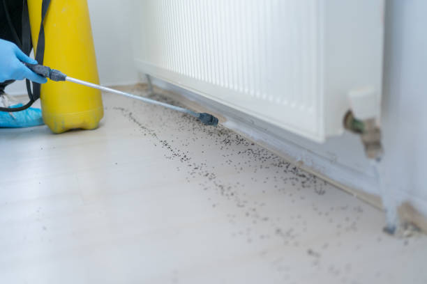 Windsor, IL Pest Control Company